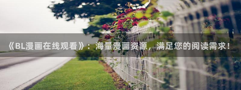 平行天堂漫画免费看：《BL漫画在线观看》：海量漫画资源，满足您的阅读需求！